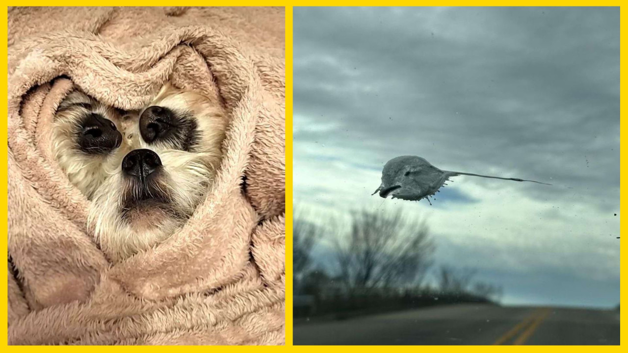 Они любят роскошь и дорогие вещи: Этих знаков зодиака не привлекают бедные люди