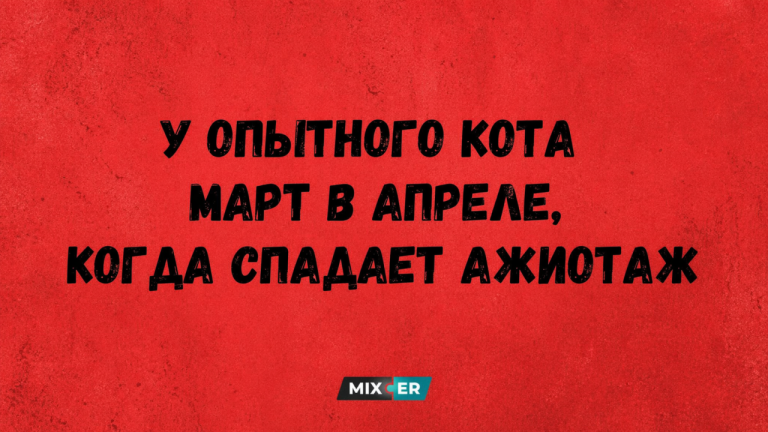 Юмор на вечер 24 апреля и опытный кот
