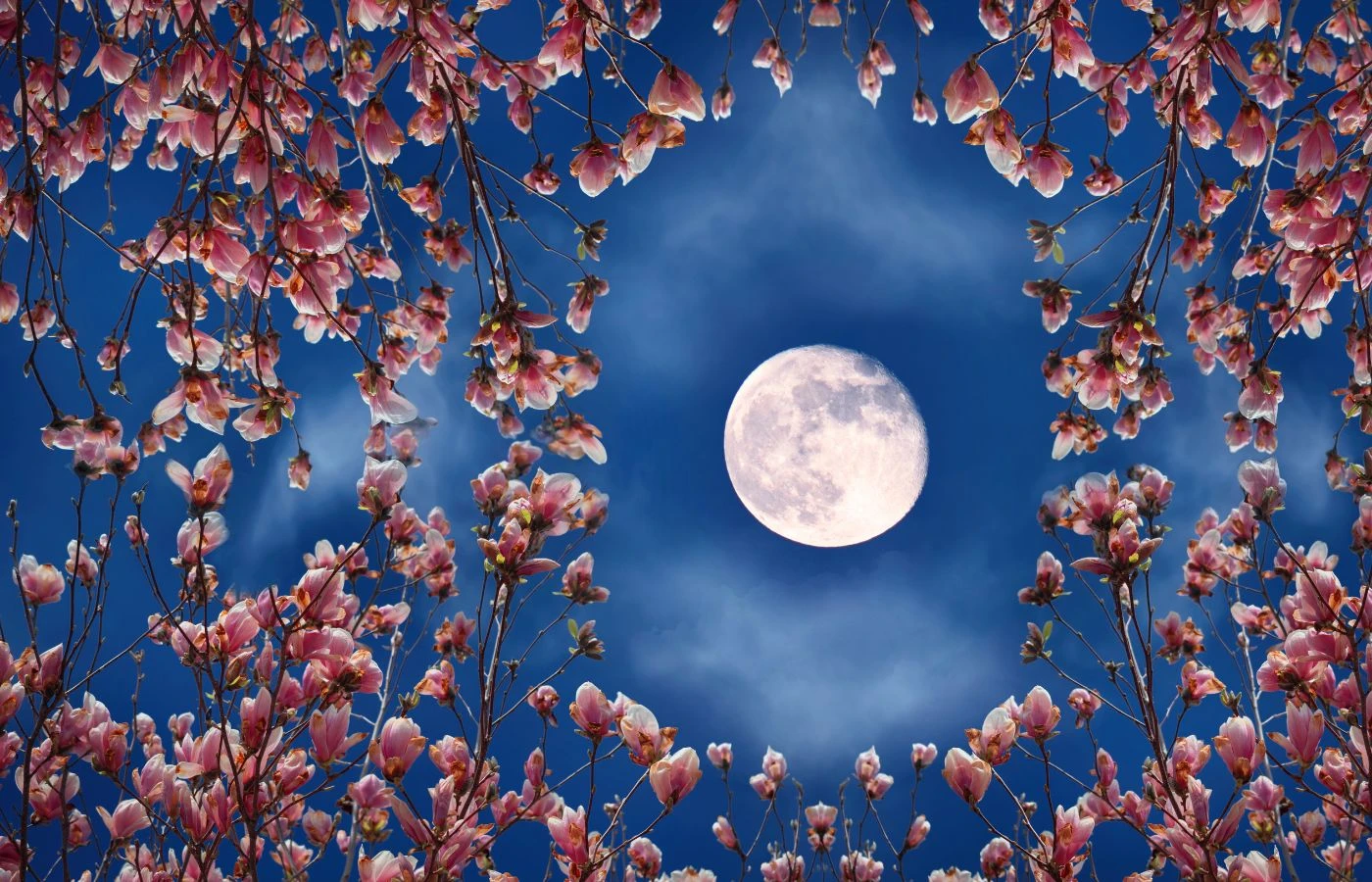 Майский триумф: Стрелец, Лев и Телец поймают волну невероятного везения в мае