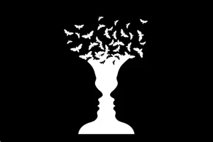 Оптическая иллюзия с изображением чаши, двух лиц и бабочек