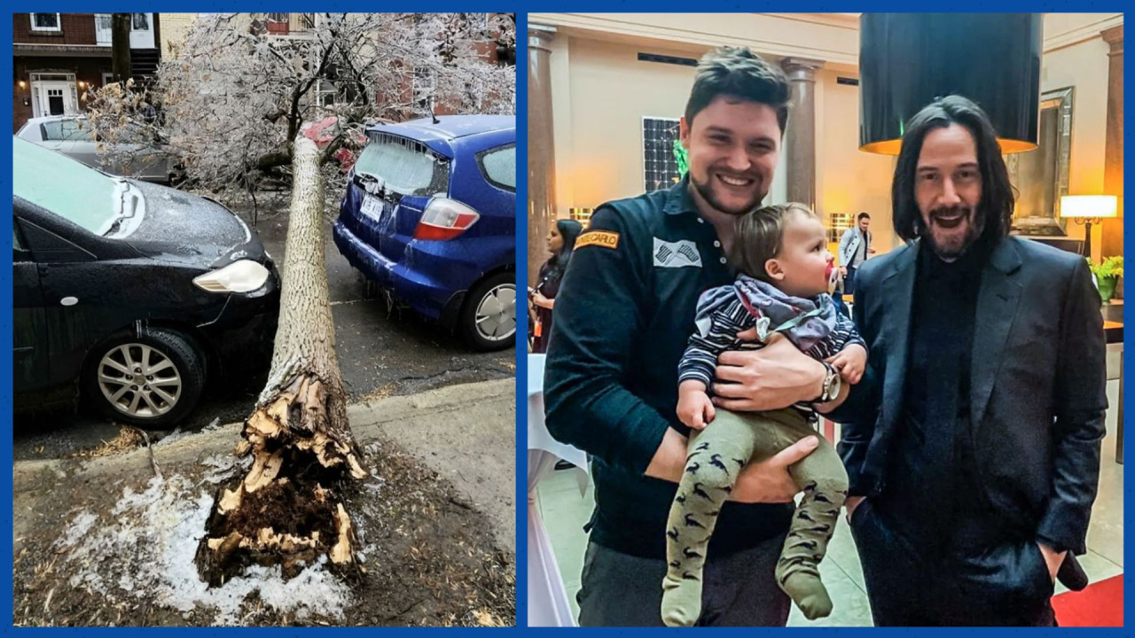 Эстонец выиграл чемпионат Европы по подманиванию оленей