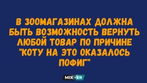 Юмор на вечер 25 апреля и бокс по вторникам