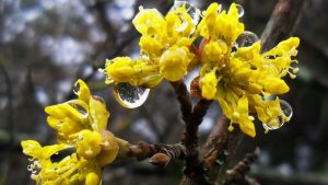 Дождливая суббота: Латвию накроет непогода, ветер усилится до 17 м/с