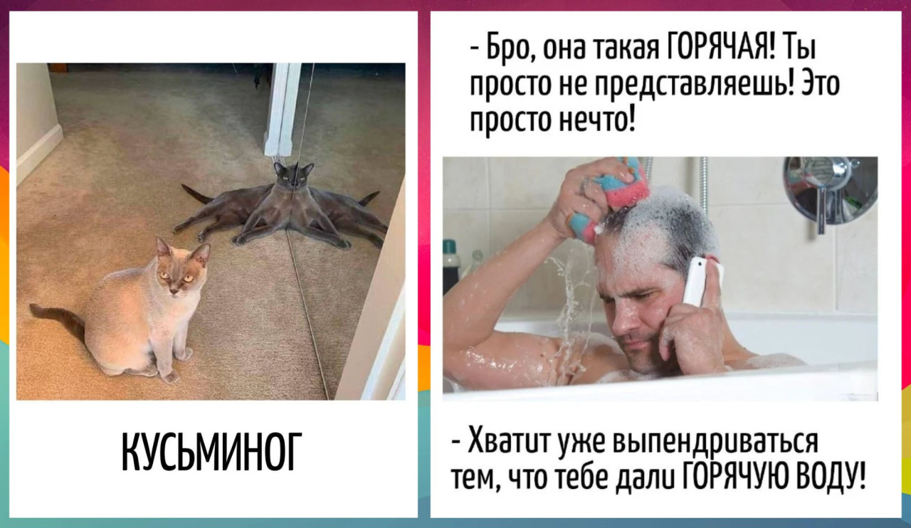 Игра слов: юмор, скрытый в языке так коварно, что сначала смеёшься, а потом краснеешь