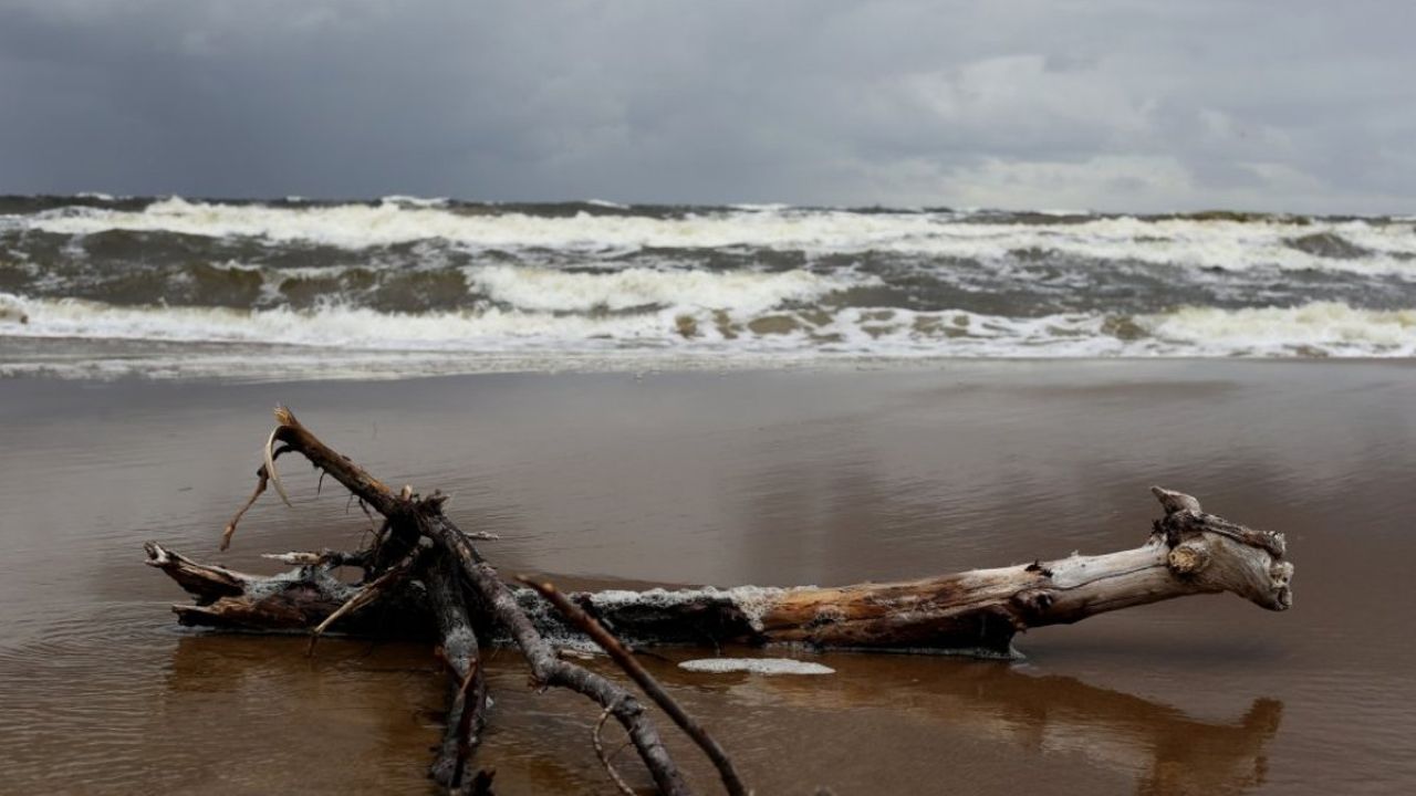 Прогнозируется буря: рижан просят в воскресенье не посещать парки, детские площадки и кладбища  