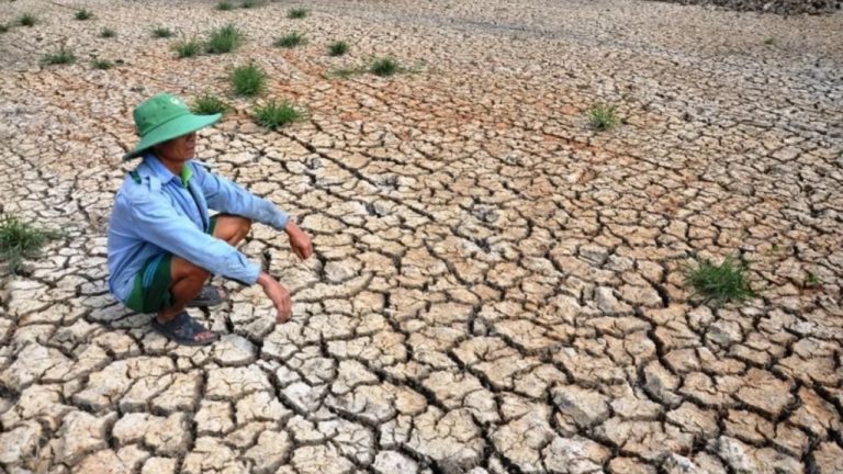 Ученые бьют тревогу: 2026 год может установить новые температурные рекорды