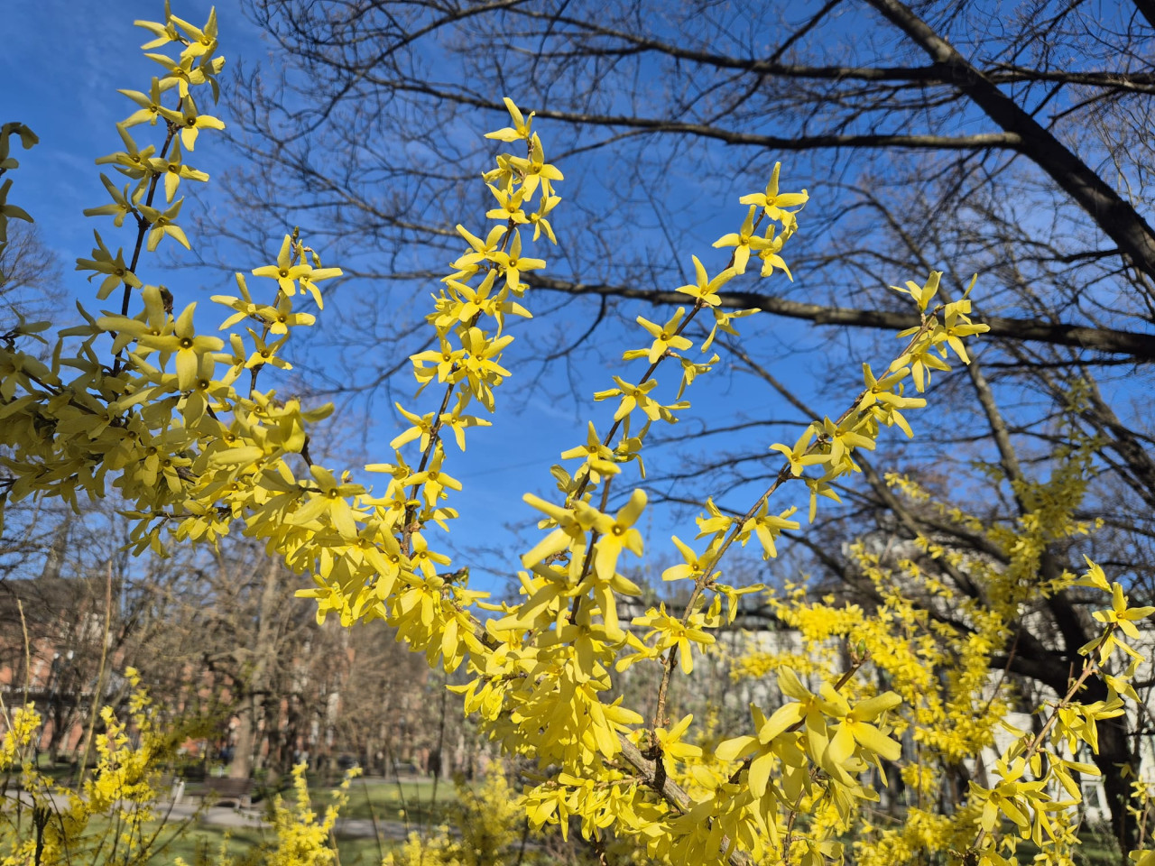 Наконец потеплеет: синоптики раскрыли прогноз погоды на начало мая в Латвии