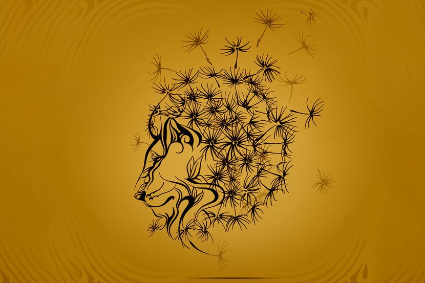 оптическая иллюзия одуванчик и лев тест личности что вы увидели первым психологический тест отношения