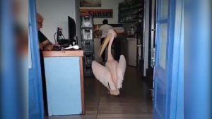 Число мигрантов в ЕС выросло до 64,2 млн: Европа сталкивается с демографическим переломом