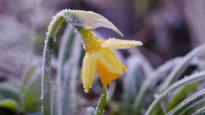 Оранжевый уровень опасности и шторм до 26 м/с ожидаются в прибрежных районах