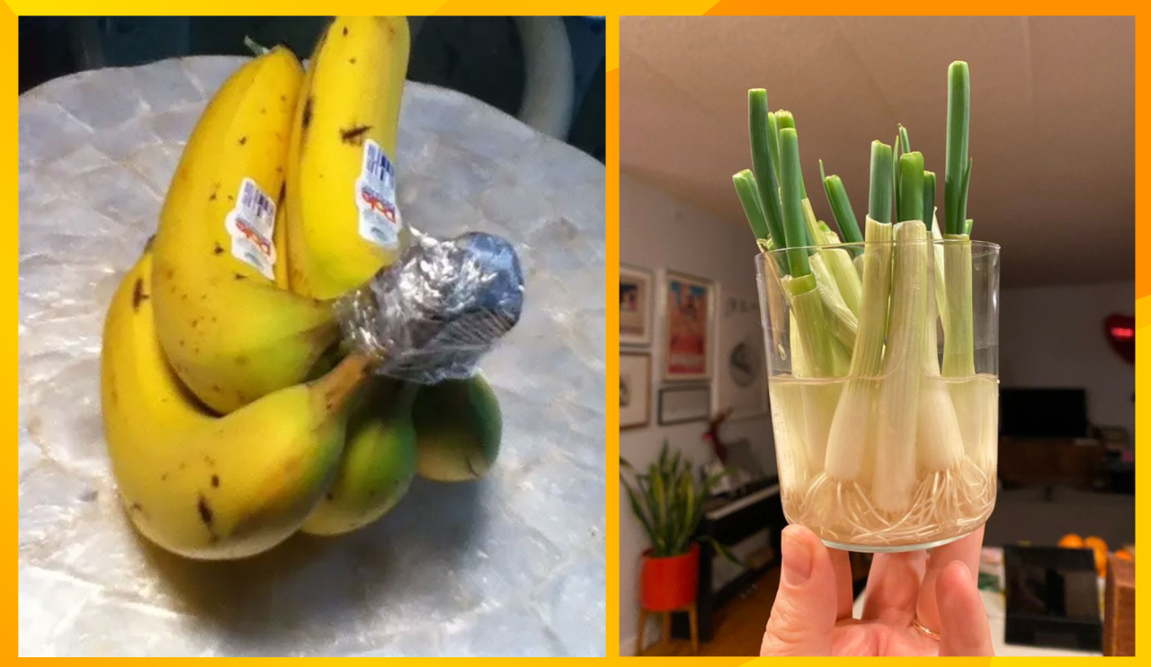 Лосиха с детенышем облюбовали приусадебный двор в Калснавской волости