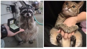 Розовый маникюр на май 2026: 10 вариантов с эффектом влажных лепестков