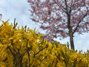 Балтийский опыт очистки моря от военных отходов может пригодиться союзникам в Ормузском проливе