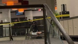 Туристы в восторге: пеликан обедает в ресторане как постоянный гость