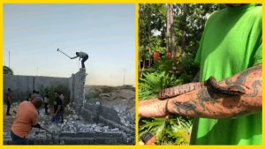 🎬 Роль, которой не было: о каком неснятом фильме жалел Джек Николсон