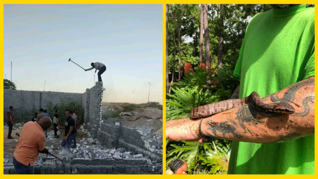 Тимошенко: Украина не примет мир на условиях Путина