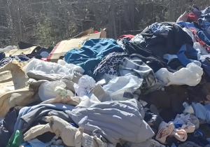 Продуктовое эхо войны: Ингуна Гулбе объяснила, когда и почему вырастут цены