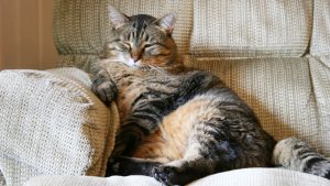 Стыдно за сограждан: пользователей социальных сетей возмутила гора брошенного в лесу тряпья