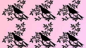 Лучшие короткие шэги после 60, которые убирают тяжесть и омолаживают образ