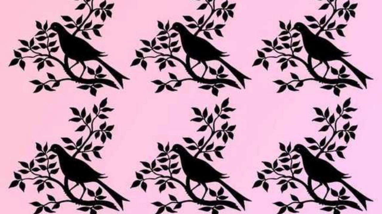 🧠 Ловушка для глаз: найдите одну отличающуюся птицу