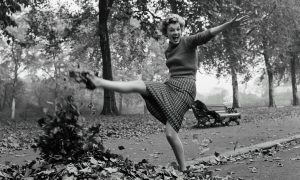 Ловушка для глаз: какая кошка отличается от других? У вас 5 секунд!