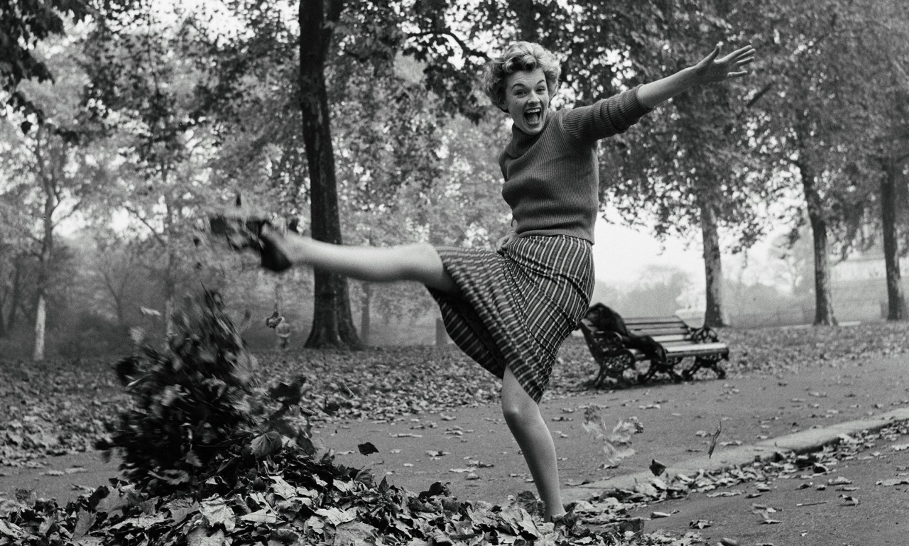 Быстрый тест на сообразительность: какое число должно быть следующим