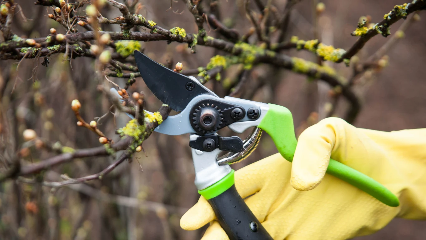 💰 Какие знаки Зодиака чаще всего становятся богатыми наследниками