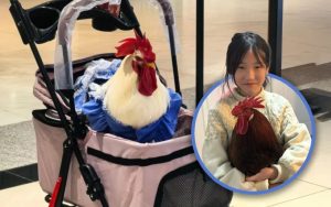 Турист погиб на шоу заклинателя змей в Египте: кобра заползла в штаны и укусила