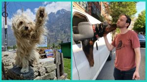 Раки, Стрельцы, Львы и Весы в гороскопе Анжелы Перл на четверг 30 апреля