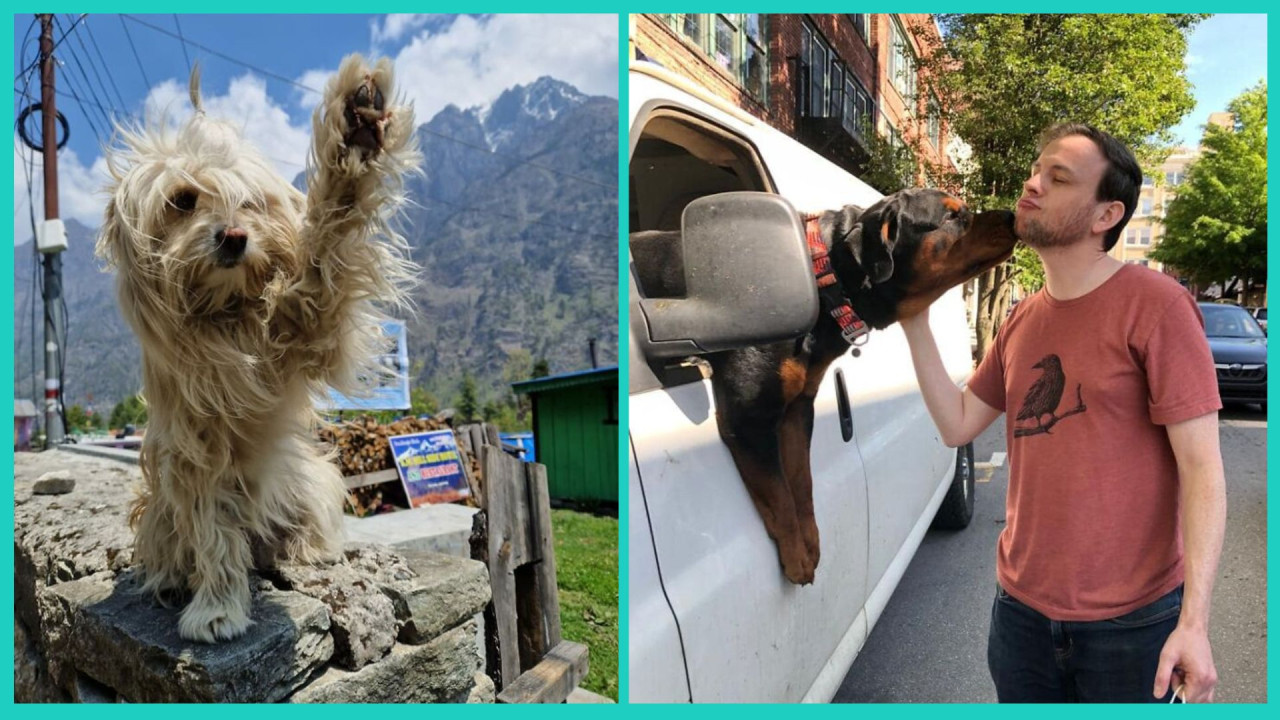 Юмор за день и черный пояс по кулинарии