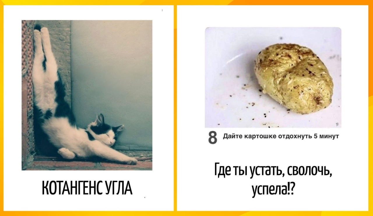 «Люблю и ценю!»: Винькеле о главных экспертах по COVID-19