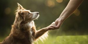 Как будут работать больницы - им. Страдиня и Восточная - в майские праздники