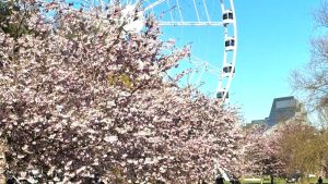 У здания Сейма пройдет день доноров крови: как присоединиться и почему это важно