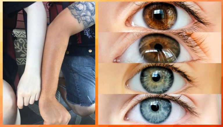 16 визуальных доказательств того, что природа обладает невероятным чувством юмора