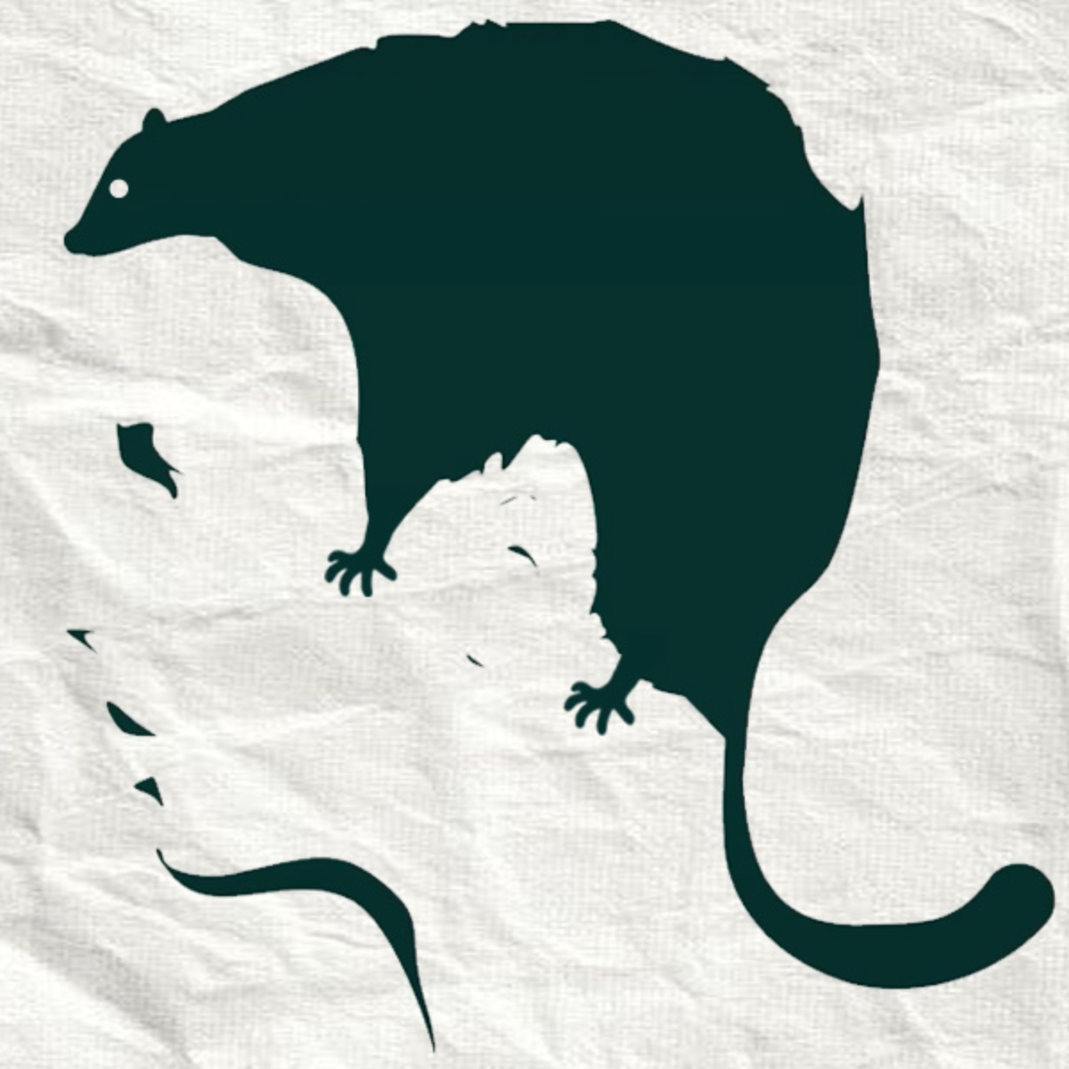 Оптическая иллюзия с изображением лица и грызуна - психологический тест на восприятие и скрытые страхи