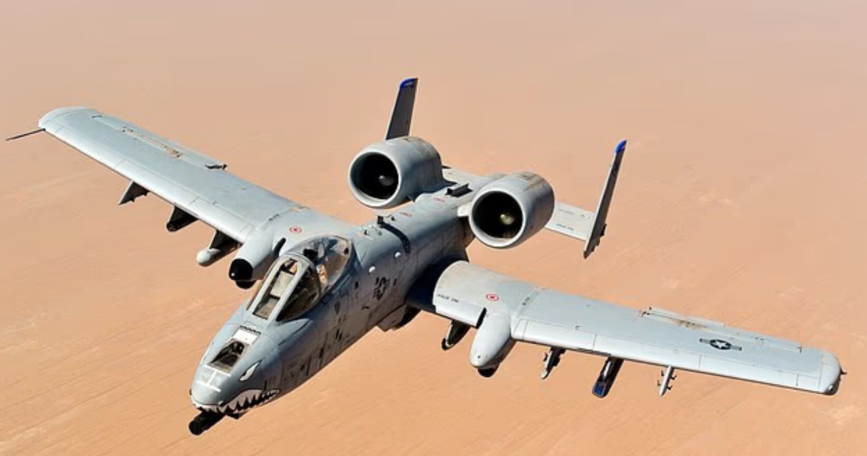 Что известно о сбитом американском летчике, которого ищут США и Иран