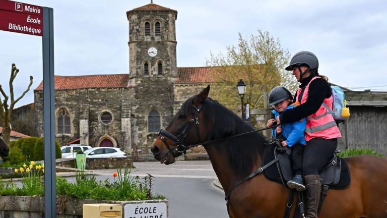 Француженка сменила автомобиль на лошадь из-за роста цен на бензин