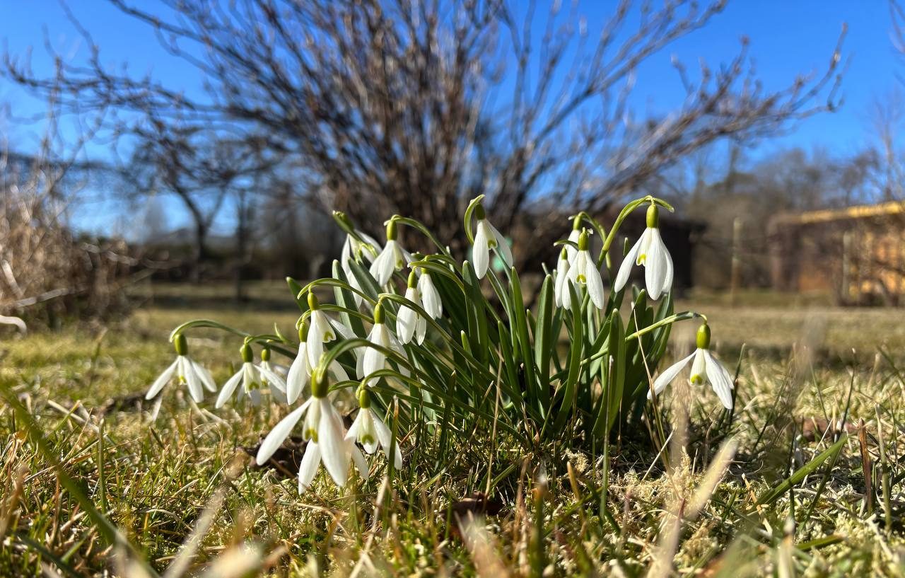 Сильный ветер и мокрый снег в понедельник сменятся долгожданным апрельским теплом