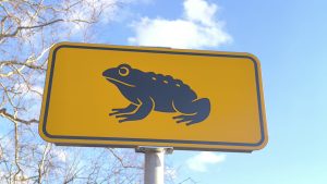 44 000 евро в месяц и менее 100: как устроено пенсионное неравенство в Латвии