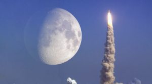 В Брюсселе открылась уникальная пасхальная выставка шоколадного искусства Bel’Oeuf