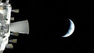 Француженка сменила автомобиль на лошадь из-за роста цен на бензин