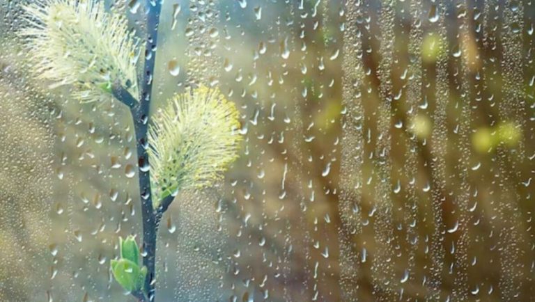 Во вторник будет пасмурно и дождливо
