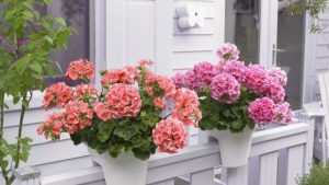 Как найти «свой» парфюм: секреты, о которых не говорят в магазинах