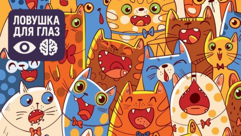 Ловушка для глаз: конфета спрятана среди котов - но её почти никто не замечает