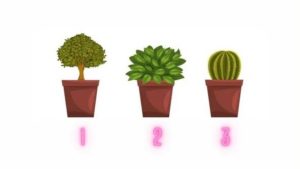 Юмор за день 5 апреля и хозяин секонд- хэнда