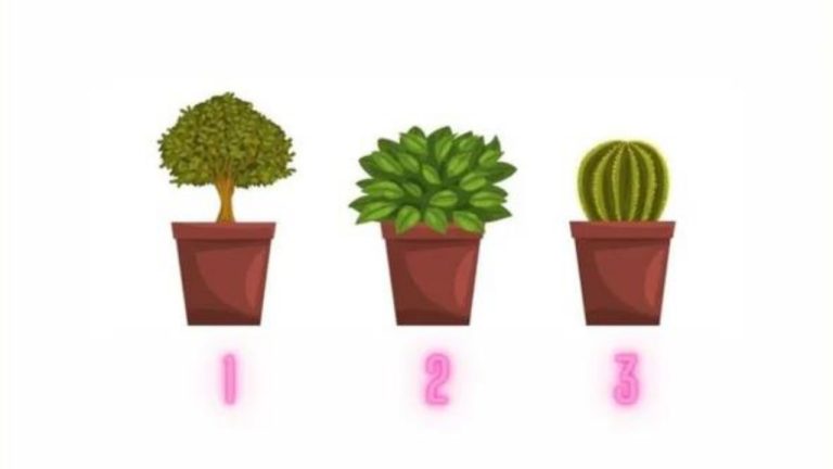 В чём ваша самая сильная сторона? Вирусный тест покажет, недооцениваете ли вы свою стойкость или дисциплину