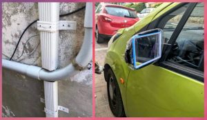 9 трогательных сигналов, что собака понимает свою вину и пытается попросить прощения