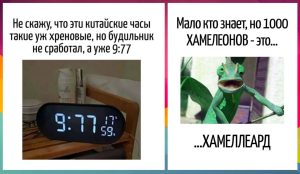Ловушка для глаз: конфета спрятана среди котов - но её почти никто не замечает
