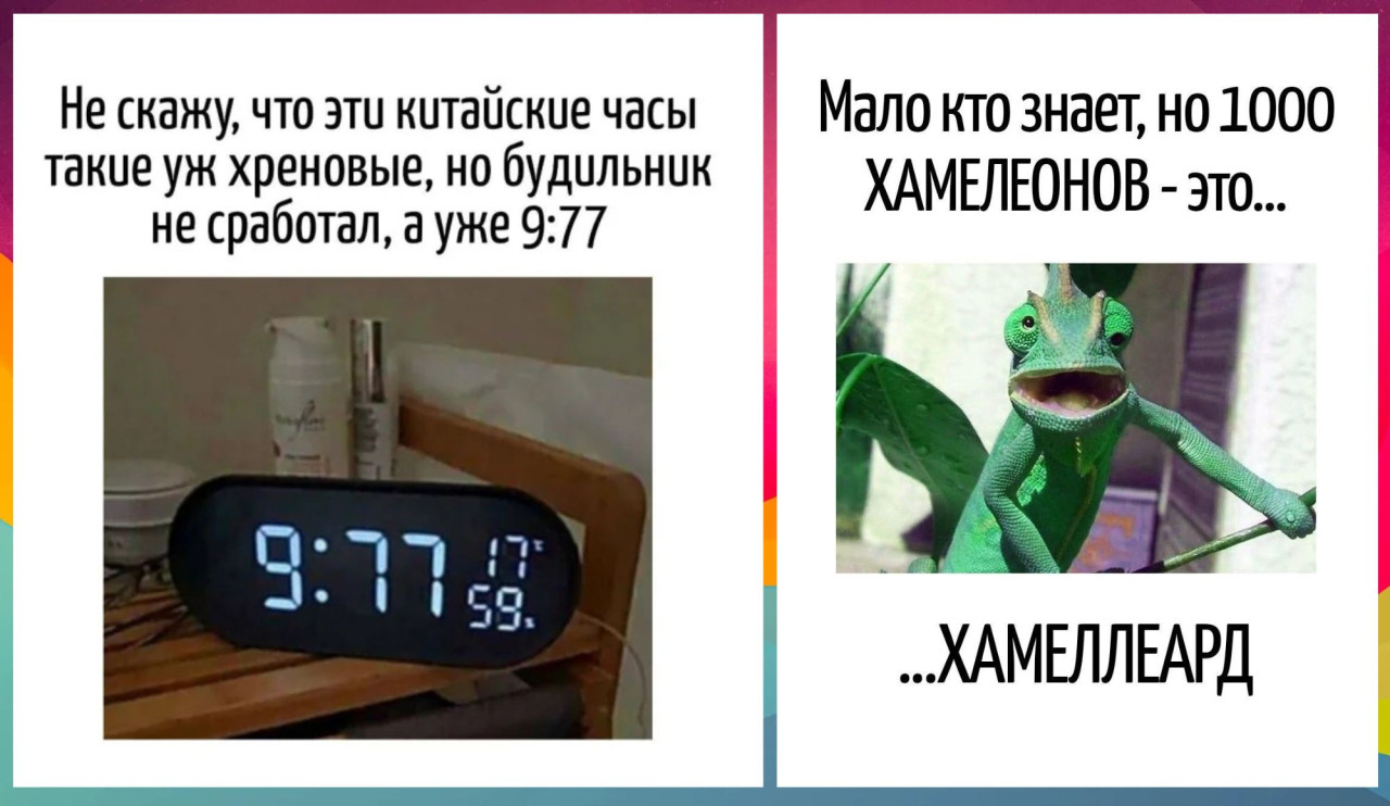 Игра слов: юмор на каламбурах, после которого ты уже никогда не сможешь произнести это слово без подтекста