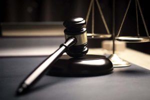 На дорогах Латвии появились временные знаки для защиты мигрирующих жаб